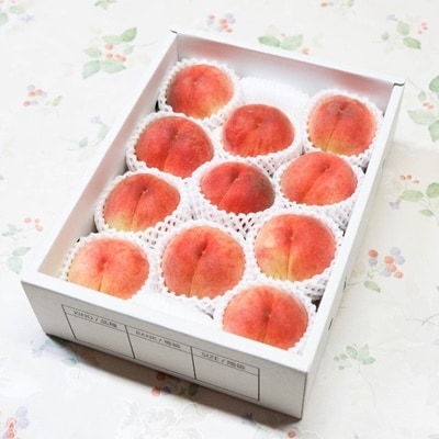 桃(川中島)3kg　ご家庭用　0055-2604