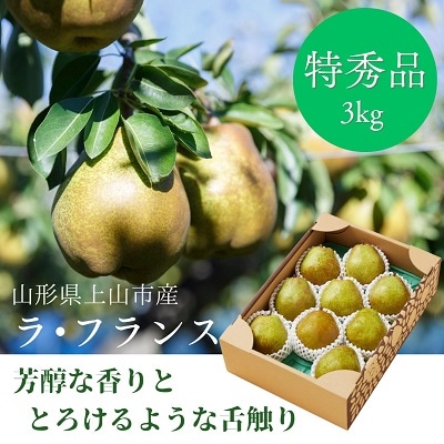 西洋梨(ラ・フランス)3kg　大玉　特秀品　贈答用　0055-2516