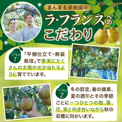 ラフランス 3kg 大玉 特秀品 贈答用 7玉~10玉 西洋梨 ラ・フランス 0055-2610