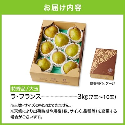 西洋梨(ラ・フランス)3kg　大玉　特秀品　贈答用　0055-2516