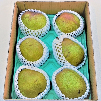 西洋梨(ラ・フランス)2.5kg　ご家庭用　0012-2612