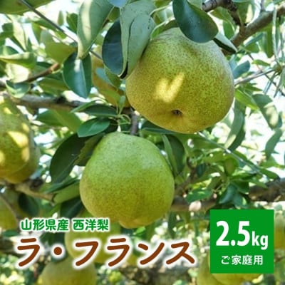 西洋梨(ラ・フランス)2.5kg　ご家庭用　0012-2612