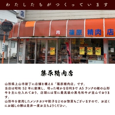 お肉三種の手作りハンバーグ 6個入り 0114-2201