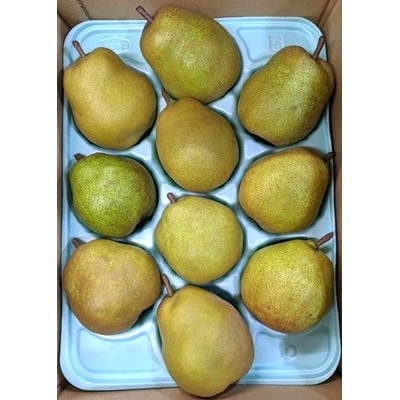 西洋梨(ラ・フランス)6kg　ご家庭用　0011-2505