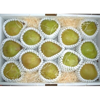 西洋梨(ラ・フランス)4kg　0011-2606