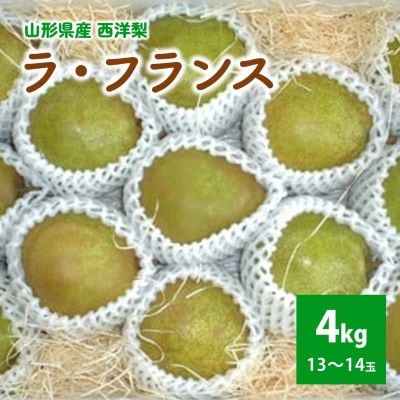 西洋梨(ラ・フランス)4kg　0011-2606