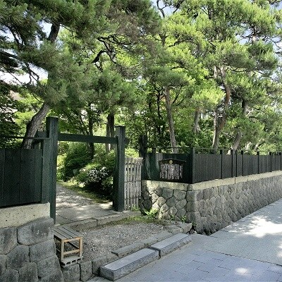 上山市ふるさと納税感謝券2 0023-2003