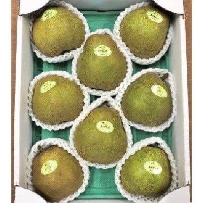 【山形セレクション認定品】ラ・フランス　3kg　特選　ギフト用　0078-2604