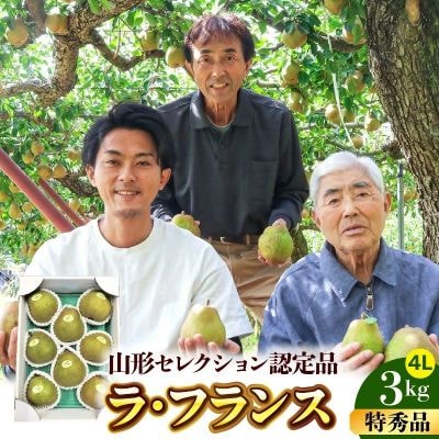 【山形セレクション認定品】ラフランス　3kg　特選　ギフト用　0078-2612
