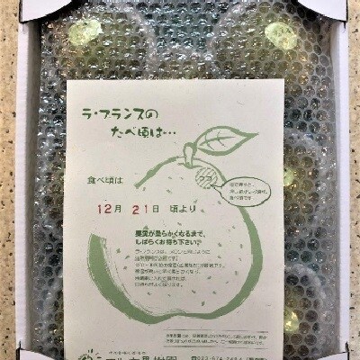 【山形セレクション認定品】ラ・フランス　3kg　特選　ギフト用　0078-2604