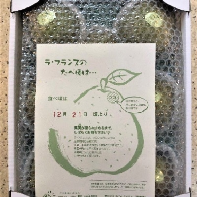 【山形セレクション認定品】ラフランス　3kg　特選　ギフト用　0078-2612