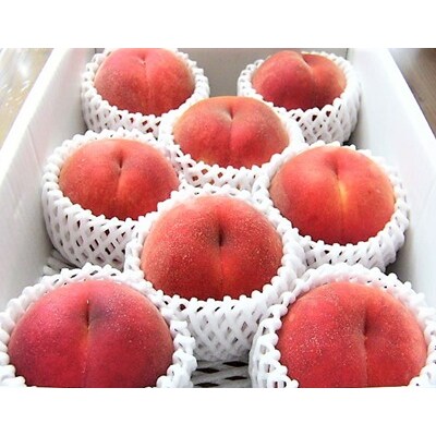 桃(葉取らず桃)2～2.5kg　0015-2603