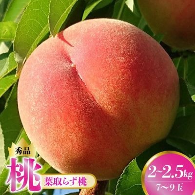 桃(葉取らず桃)2～2.5kg　0015-2603