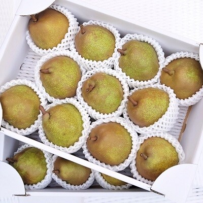 西洋梨(ラ・フランス)3kg×2箱　ご家庭用　0015-2606