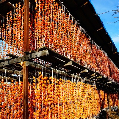 紅干し柿　250g×4パック(M～Lサイズ)　0015-2609