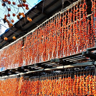 紅干し柿たばね柿　32玉1連　0015-2611