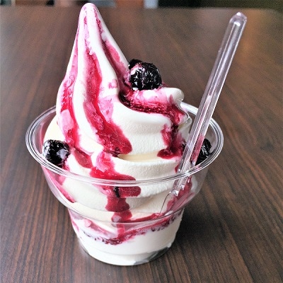 天然フルーツ アロニアベリージャム・ころころソースセット　0008-2201