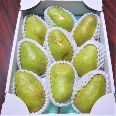 西洋梨(バラード)3kg　ご家庭用　0017-2514