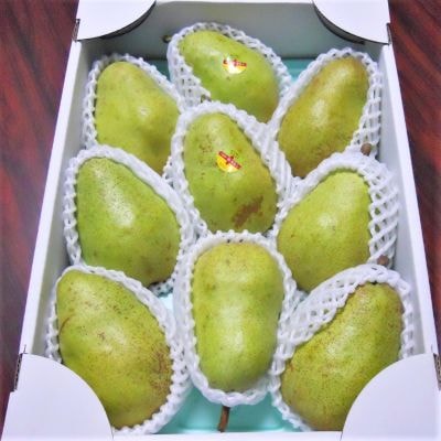 西洋梨(バラード)3kg　ご家庭用　0017-2613