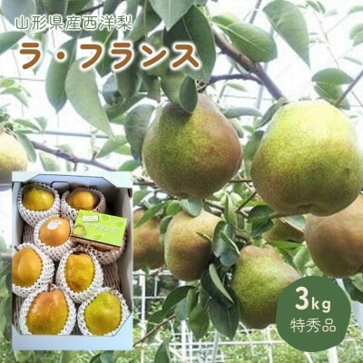 西洋梨(ラ・フランス)3kg　特秀品　0044-2605