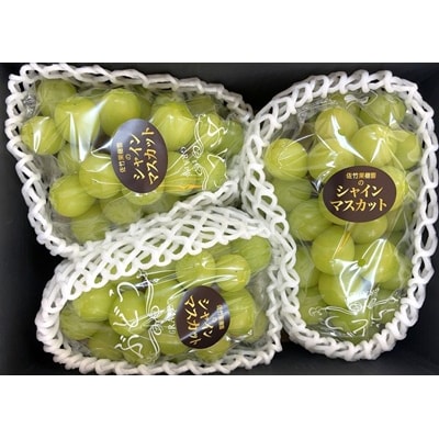 ぶどう(シャインマスカット)2～3房　合計2kg以上　化粧箱入り　0041-2601