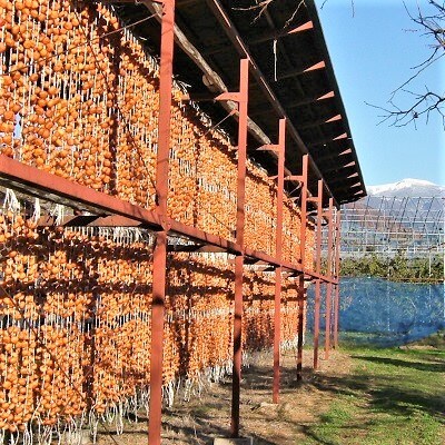 干し柿(紅つるし)32個　2Lサイズ　0040-2507