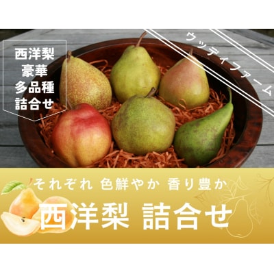 西洋梨3～4種食べ比べセット 5kg ご家庭用 0062-2604