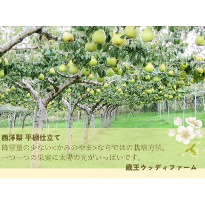 西洋梨3～4種食べ比べセット 5kg ご家庭用 0062-2604