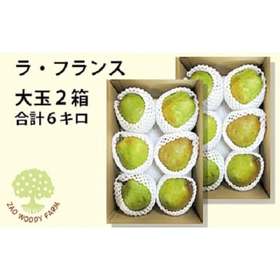 西洋梨(ラ・フランス)6kg　大玉　ご家庭用　0062-2505