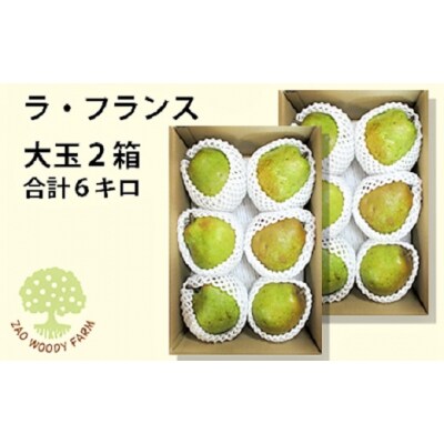 西洋梨(ラフランス) 6kg 大玉 ご家庭用 0062-2605
