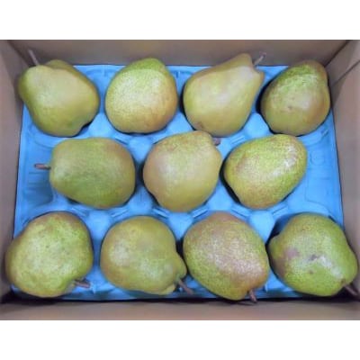 西洋梨(ラ・フランス)3kg　ご家庭用　0017-2615