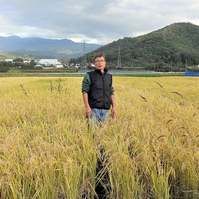 令和7年産　自然栽培15年目のササニシキ　玄米　5kg　0098-2502