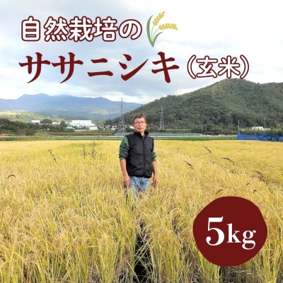 令和8年産 自然栽培16年目のササニシキ 玄米 5kg 0098-2602