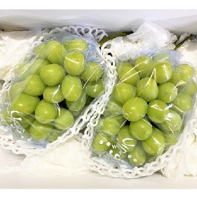 ぶどう(シャインマスカット)1.5kg　0126-2601