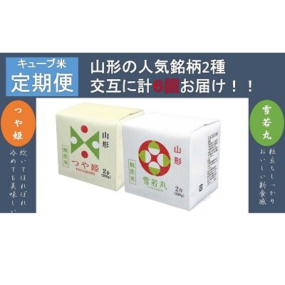 【定期便】令和4年産 無洗米キューブ2合×20個を6か月連続お届け 0059-2235