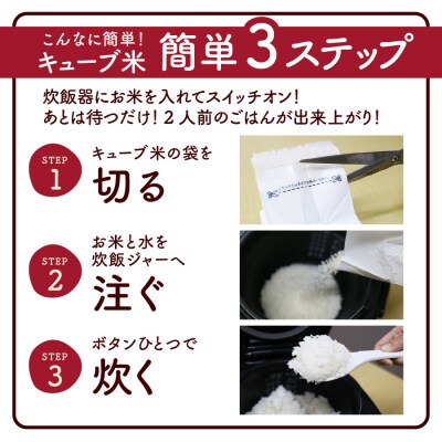 【定期便】令和4年産 無洗米キューブ2合×20個を6か月連続お届け 0059-2235