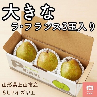 西洋梨(ラ・フランス)3玉　大玉　特秀品　0055-2608