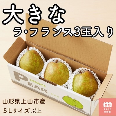 西洋梨(ラフランス)3玉　大玉　特秀品　0055-2608