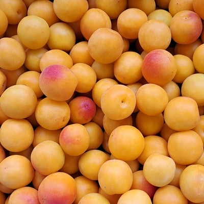 昔ながらの「しそ梅ぼし」中粒　180g×2袋　0040-2601