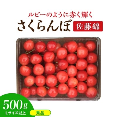 さくらんぼ(佐藤錦)500g　手詰め　0112-2610