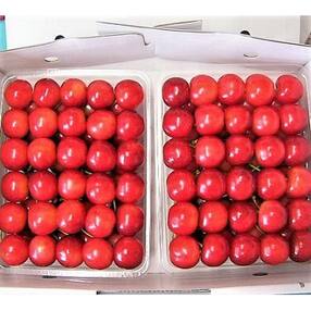 さくらんぼ(紅秀峰)700g　手詰め　特秀　2L　0015-2303