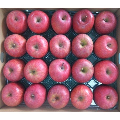 りんご(サンふじ)10kg　40～46玉　ご家庭用　0056-2624