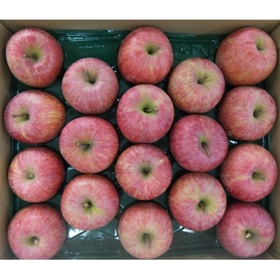 りんご(サンふじ)5kg　11～20玉　ご家庭用　0056-2620