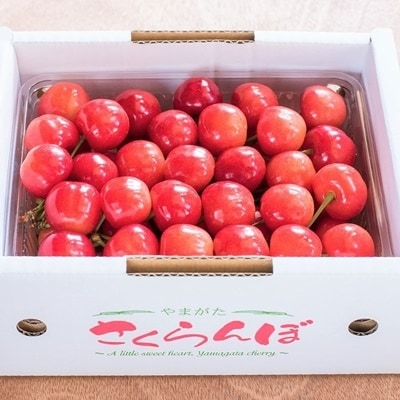【定期便:全6回】農家直送!食べきり定期便A 0127-2106