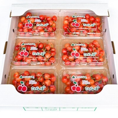 ☆山形のさくらんぼ☆佐藤錦1.2kg(200g×6パック)M・Lサイズ 0127-2109