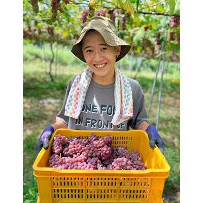 ナイアガラワイン(Voyage de YUUAI)白　1本　0115-2601