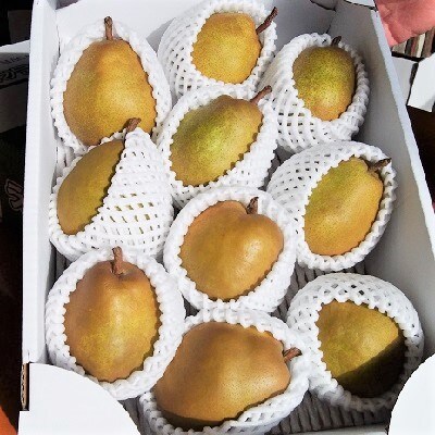 西洋梨(ラ・フランス)6kg(3kg×2箱)　0050-2601