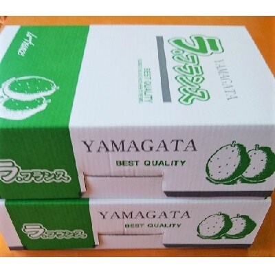 西洋梨(ラ・フランス)6kg(3kg×2箱)　0050-2601