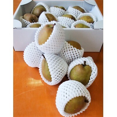 西洋梨(ラ・フランス)6kg(3kg×2箱)　0050-2601