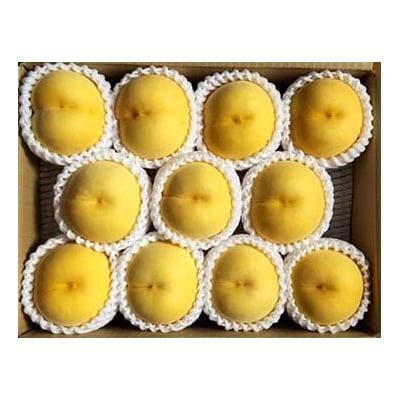 【数量限定】桃(黄貴妃)3kg　特秀品　0106-2602
